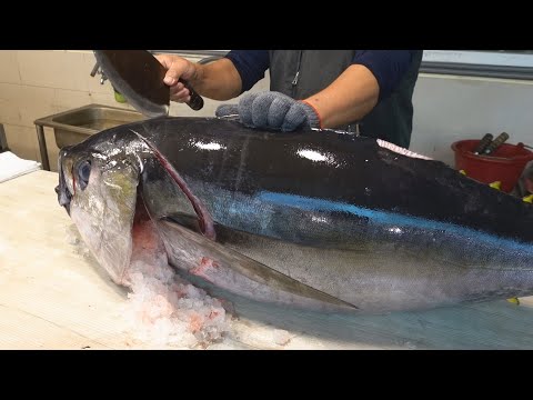 Видео: Удивительно! Навыки нарезки большеглазого тунца - Как нарезать большеглазого тунца для сашими