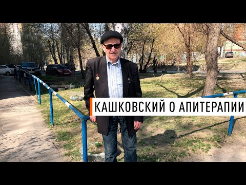 Видео: Кашковский о апитерапии