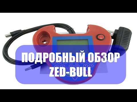 Видео: Подробный обзор ZEDBull с алиэкспресс. Стрим
