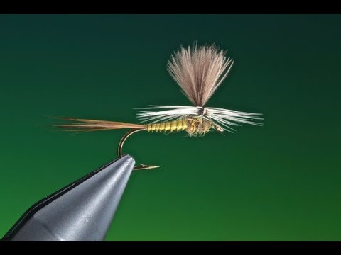 Видео: Связывание парашюта. Синекрылая оливковая поденка с Барри Ордом Кларком