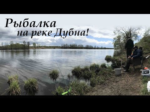 Видео: Рыбалка на реке Дубна! Ловим подлещиков, густеру, чехонь, ершей  Тестируем как работает эхолот Lucky