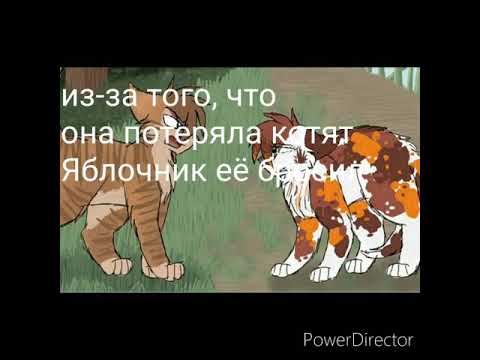 Видео: коты-воители/Кленовница♥Звездоцап/У меня появился другой/
