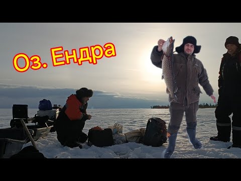 Видео: озеро ЕНДРА. хмао. маточный водоем. разведка новых мест