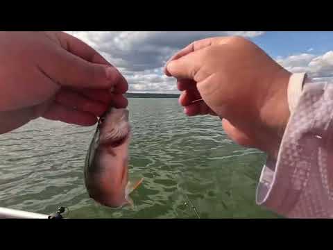 Видео: МИКРОДЖИГ.ВОДОХРАНИЛИЩЕ.