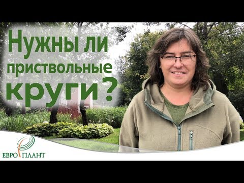 Видео: Приствольные круги.