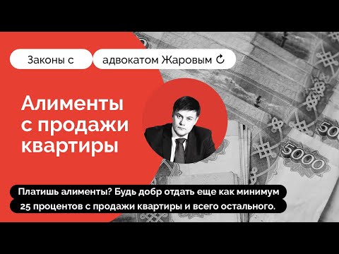 Видео: Алименты с продажи квартиры!
