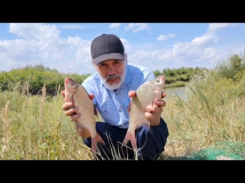 Видео: Рыболовные приключения продолжаются на реке Нура