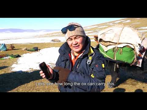 Видео: Mongolian shaman. Маанар. Дархад нүүдэл 1-р хэсэг. Самгалдай, https://www.facebook.com/samgaldai/