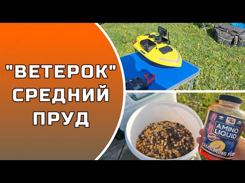 Видео: ВЕТЕРОК СРЕДНИЙ ПРУД