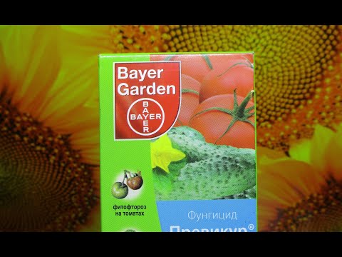 Видео: Фунгицид Превикур. Использование в огороде, мое мнение о нем.