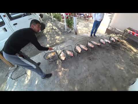 Видео: Как Узбеки Жарят рыбу! Узбекистан! Ферганская долина!