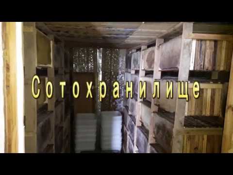 Видео: Как сохранить соты. Молодому пчеловоду. Сотохранилище