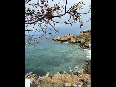 Видео: Кофемедитация