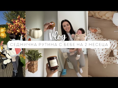 Видео: СЕДМИЧНА РУТИНА С БЕБЕ | ПОКУПКИ  ЗА ДОМА | БЕБЕШКИ ДРЕХИ ОТ NEXT |  ВКУСНИ РЕЦЕПТИ | ВЛОГ АНГЛИЯ