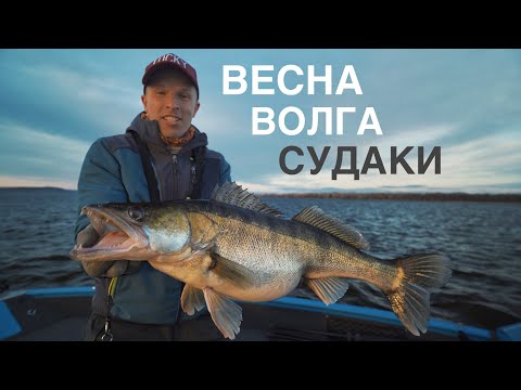 Видео: Трофеи каждый день. Ловля речного судака.