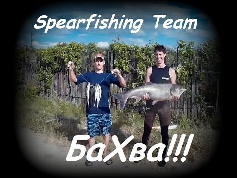 Видео: Ищи Охотник Часть 5 Толстолоб и Селедка))))