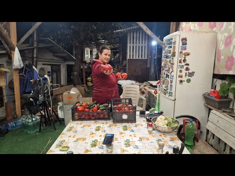 Видео: НА ЖИВО: ХАЙДЕ ДАМНАПРАВИМ ТЕЗИ ДОМАТИ @didoikali