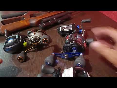 Видео: 4 ноября 2025 г.