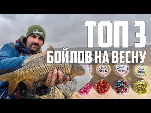 Видео: Топ 3 БОЙЛОВ для карпа, карася и леща которые реально работают весной!