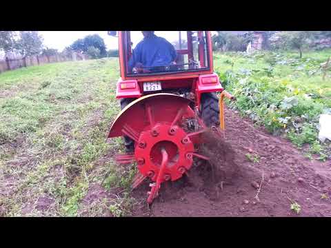 Видео: трактор Df-244 с картофелекопателем КТН-1Б "лидсельмаш"