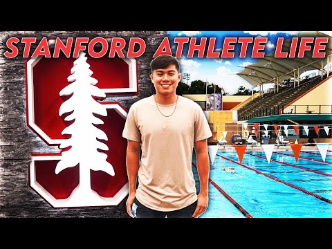 Видео: Экскурсия по плавательному комплексу Стэнфорда | Жизнь спортсмена Стэнфорда