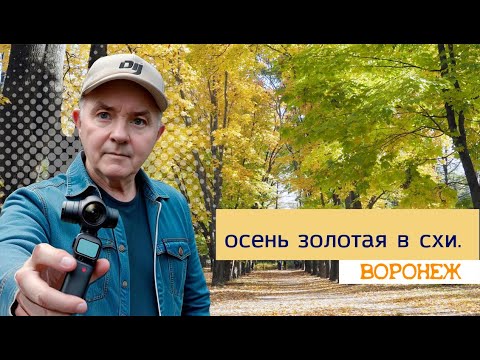 Видео: Осень золотая в СХИ, Воронеж 22 10 24г