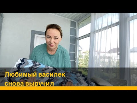 Видео: ДОМ или КВАРТИРА/ О моей новой работе/ Любимый василек/ Ивановский текстиль трикотаж