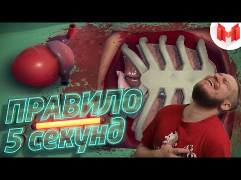 Видео: Правило 5 секунд (VR) | РЕАКЦИЯ НА МАРМОКА