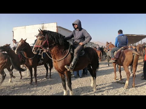 Видео: Аспбозори Ленский Раён  25 сентября 2024 г