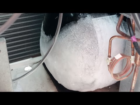 Видео: Кондей встаёт по низкому.