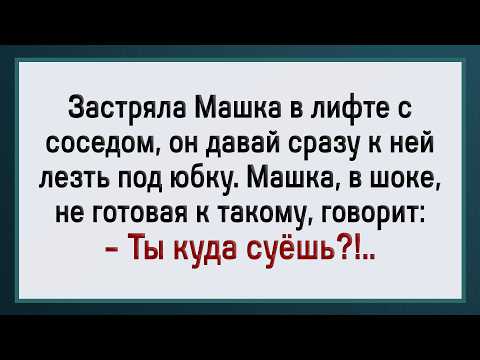 Видео: Что Сосед с Машкой Вытворял! Сборник Свежих Анекдотов! Юмор!