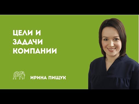 Видео: Цели и задачи компании. Позиционирование компании