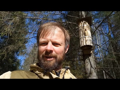 Видео: Перезимовали!