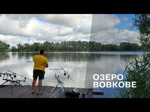 Видео: Коропи не дають присісти / Шалена роздача на озері / На що клює короп