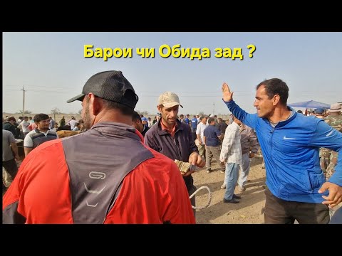 Видео: Якшанбебозори н. Фархор нархи Бука, Гови гусоладор, Гусфанд,  Буз 
