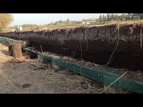 Видео: Сөөлжанды кышкыга даярдоо