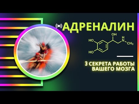 Видео: Почему ИЗМЕНЕНИЯ тебе не ПОДВЛАСТНЫ.. #адреналин #нейропластичность #работамозга