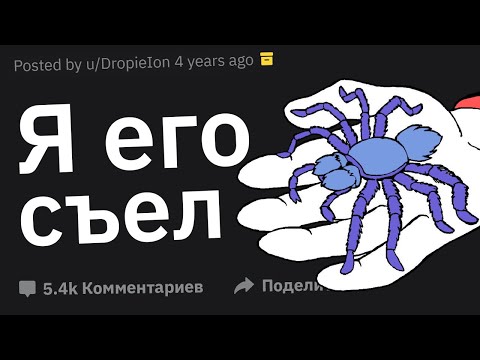 Видео: Когда Подумал: "Нахрена Я Это Сделал?"