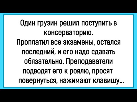 Видео: 🤣Как Грузин В Консерваторию Поступал! Сборник Смешных Анекдотов! Юмор! Позитив!