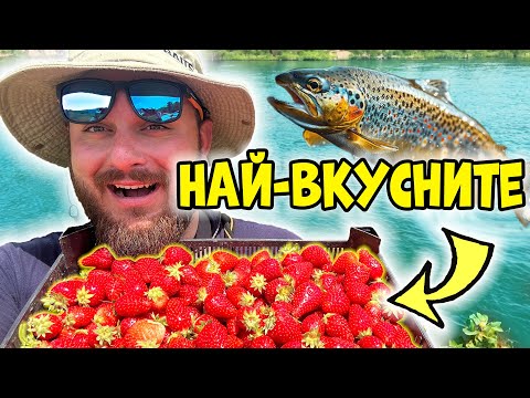 Видео: НАЙ-ВКУСНИСТЕ ЯГОДИ в България! Риболов на пъстърва на река Въча.