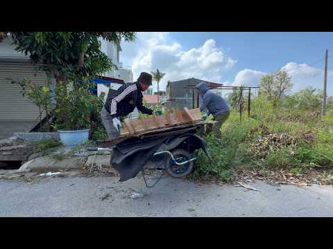 Видео: Грязный тротуар в районе привлекает внимание | Смотрите, как я преображаю этот тротуар