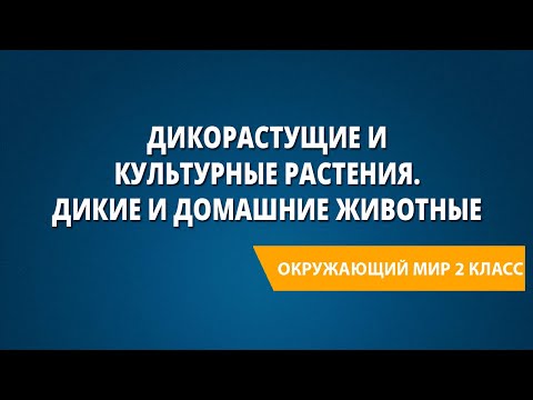 Видео: Дикорастущие и культурные растения. Дикие и домашние животные