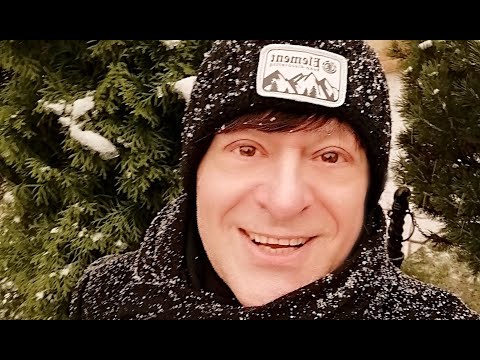 Видео: А НА ВЕТКАХ СНЕГИРИ