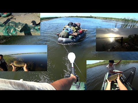 Видео: Я ВЕРНУЛСЯ! Рыбалка на заливах реки ИЛИ.Ловля сазана