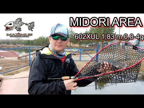 Видео: У меня обновка!  Ловлю форель на спиннинг  Maximus MIDORI AREA 602XUL 1,83 m 0,8-4g