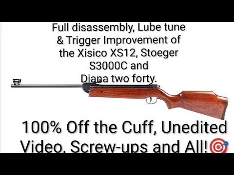 Видео: Полная разборка и настройка смазочного механизма, улучшение триггерного механизма XS12, Stoeger S...