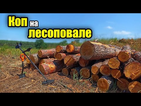 Видео: Коп на лесоповале с МД Nokta Makro Simplex plus