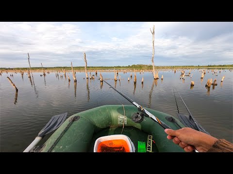 Видео: ПОДСЛУШАЛ на что ДЕДЫ ЛОВЯТ карася и НАЛОВИЛ! Рыбалка на поплавок