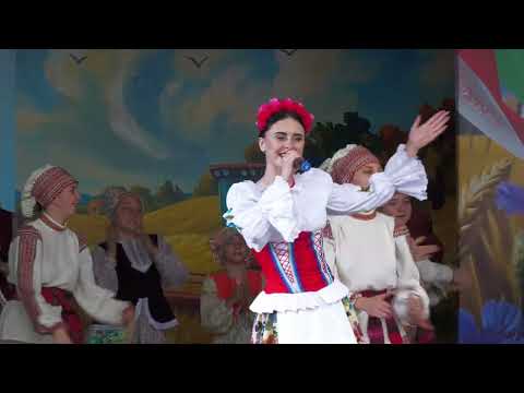 Видео: Дожинки 2025 2