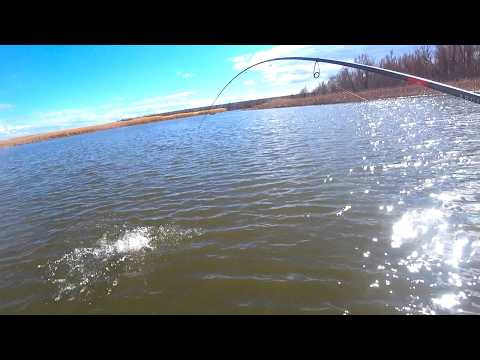 Видео: ТАК НЕ БЫВАЕТ!!!! 50 СУДАКОВ САНДАЛЯТ ОДИН ЗА ОДНИМ!! Рыбалка весной на спиннинг джиг